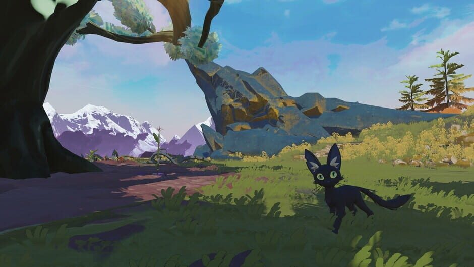 Capture de Homestead Arcana