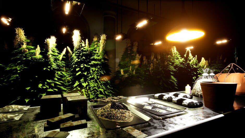 Capture de Drug Dealer Simulator 2