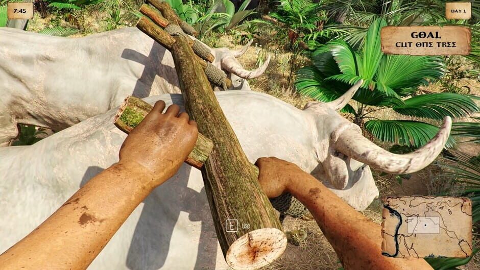 Capture d’Ancient Farm