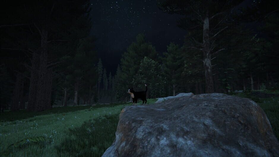 Capture de Cat Life