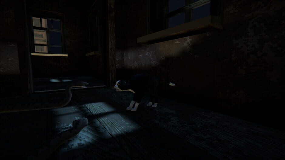 Capture de Cat Life