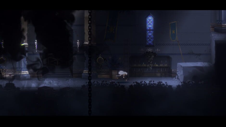 Capture de Nocturnal