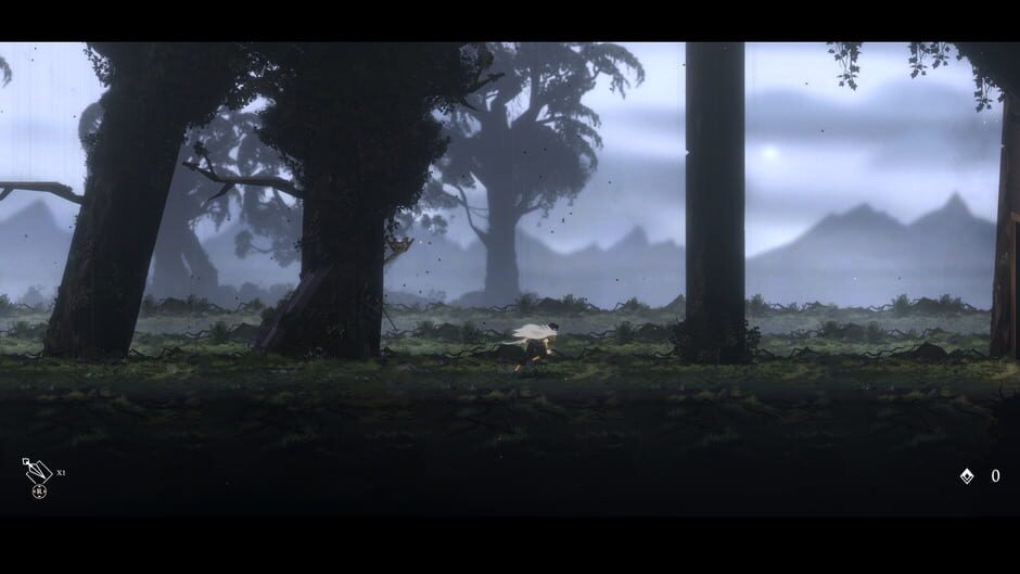 Capture de Nocturnal