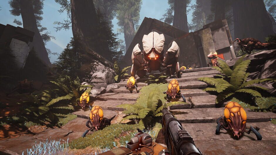 Capture de Voidtrain