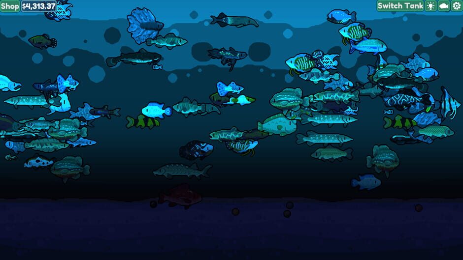 Capture de Chillquarium