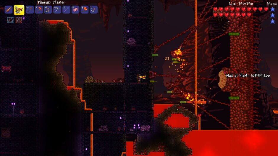 Capture de Terraria