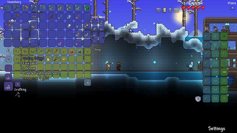 Capture de Terraria