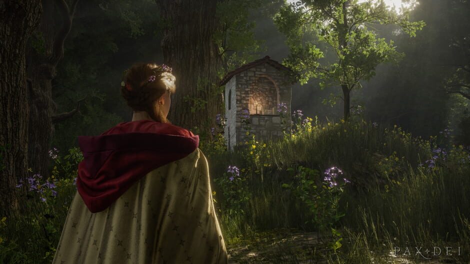 Capture de Pax Dei