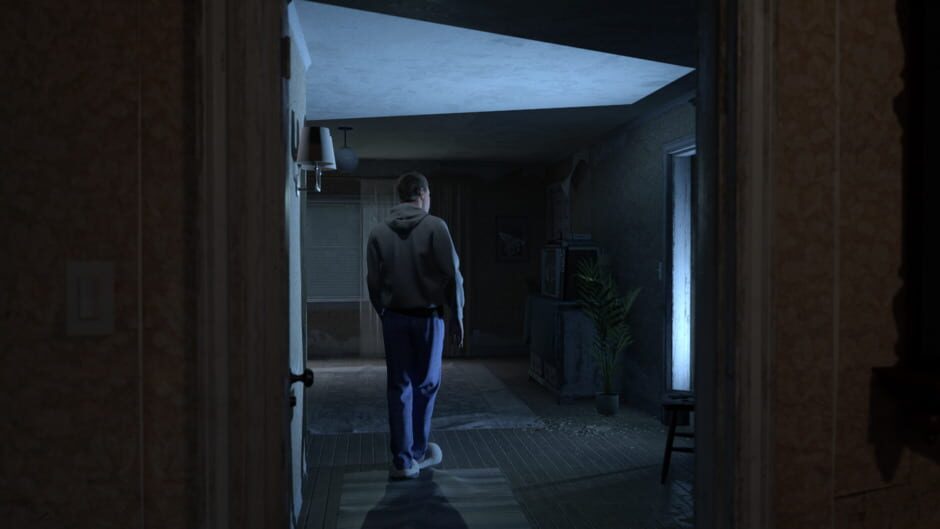 Capture de Stray Souls