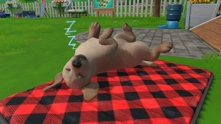 Capture de Little Friends: Puppy Island