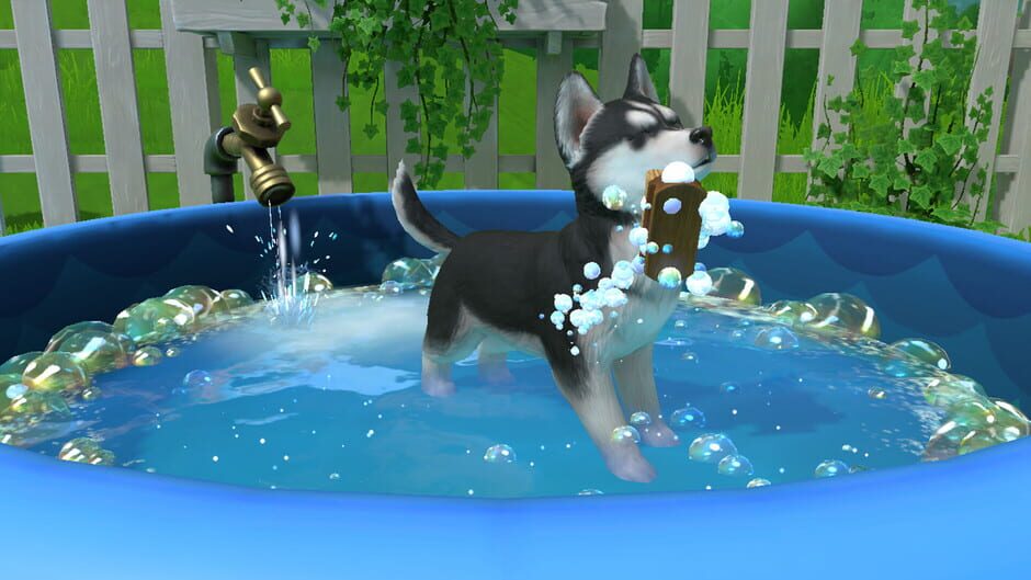 Capture de Little Friends: Puppy Island