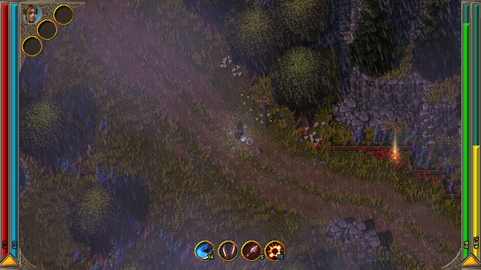 Capture de Hammerwatch II