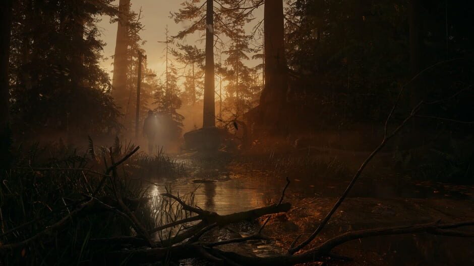 Capture d’Alan Wake II