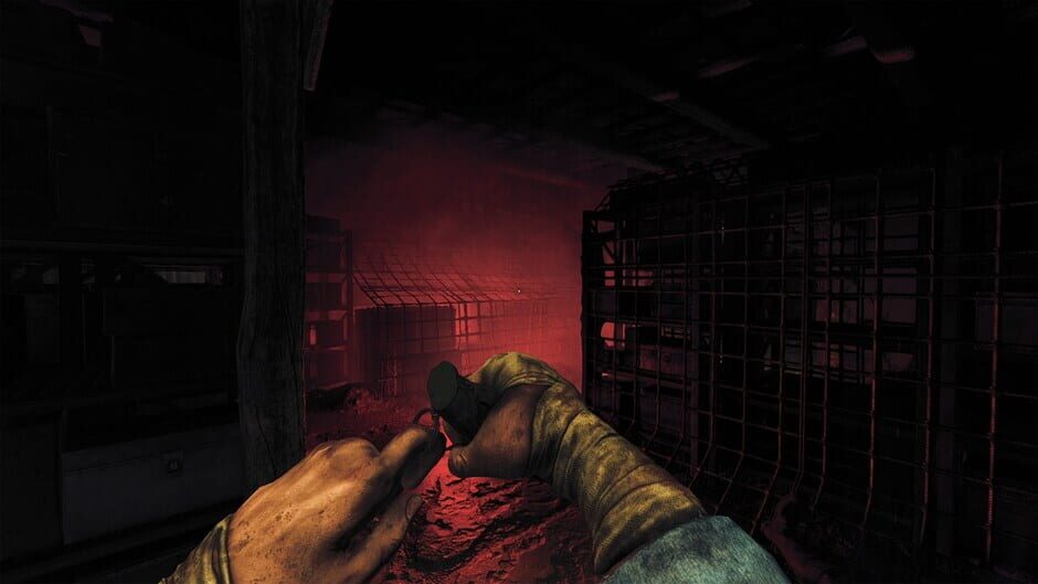 Capture d’Amnesia: The Bunker