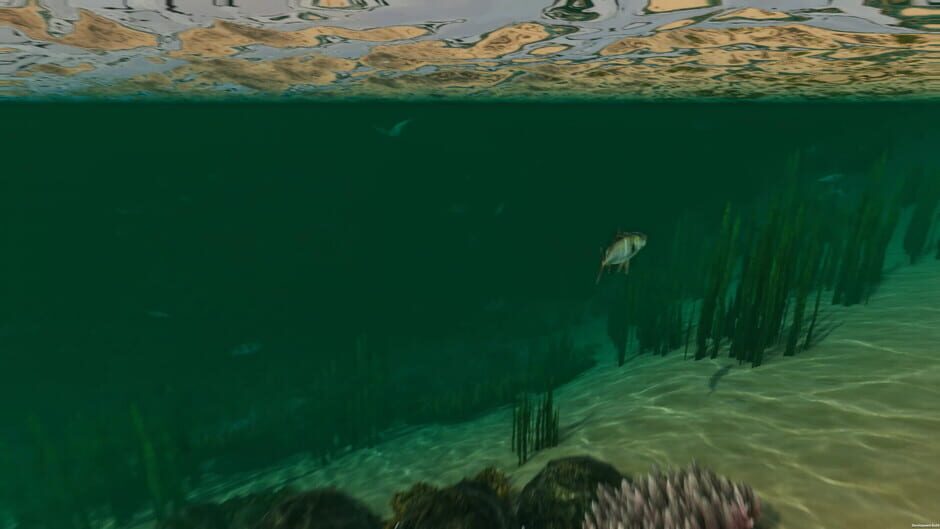 Capture d’Island Notes