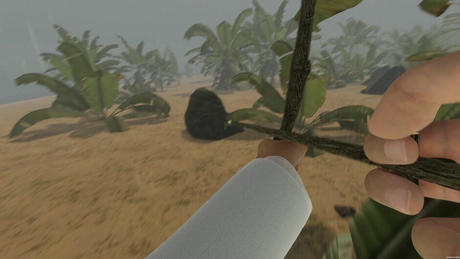 Capture d’Island Notes