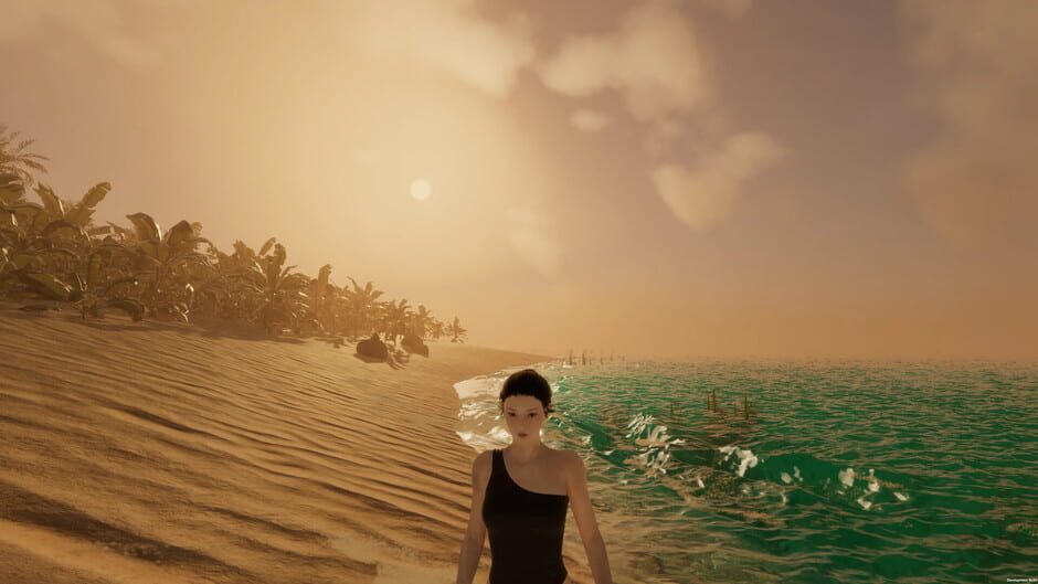 Capture d’Island Notes