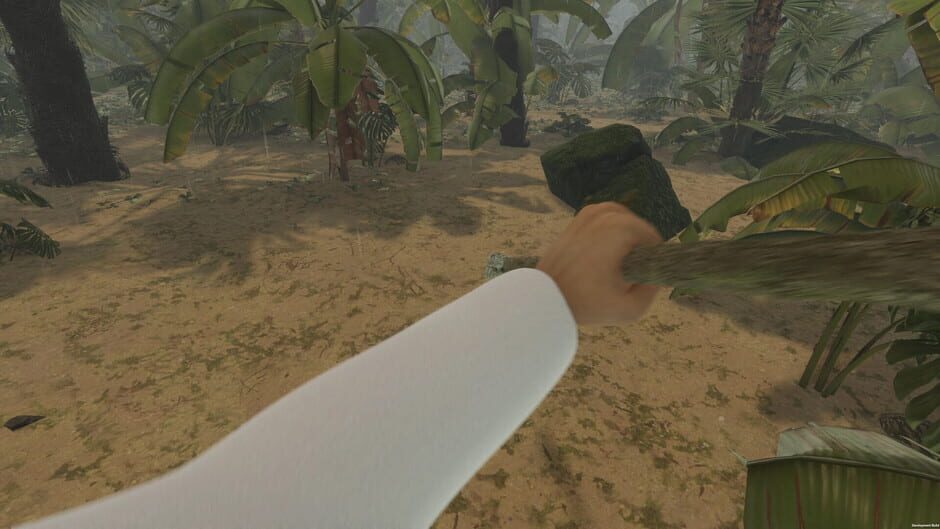 Capture d’Island Notes