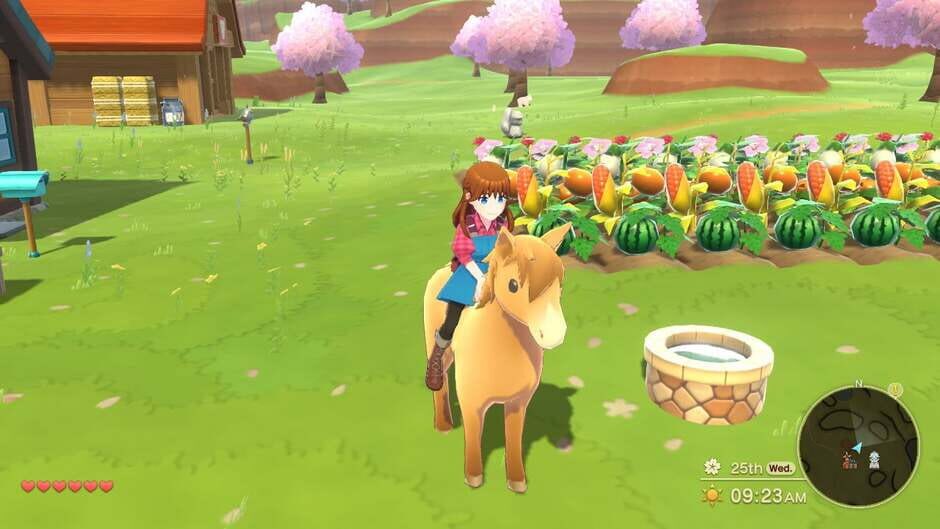 Capture de Harvest Moon: The Winds of Anthos