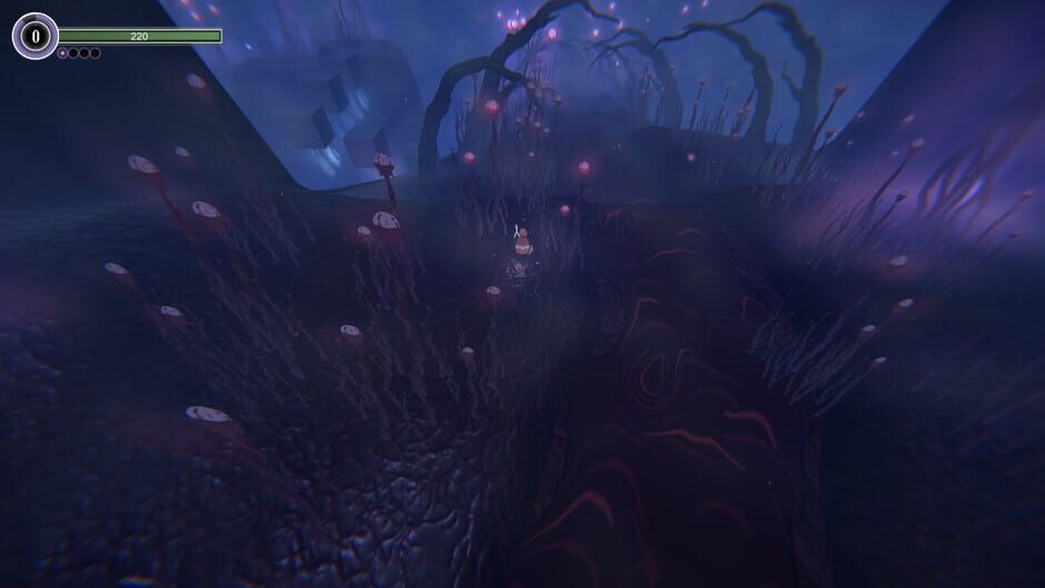 Capture de The Shaman's Ark