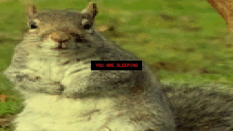 Capture de Squirrel Stapler