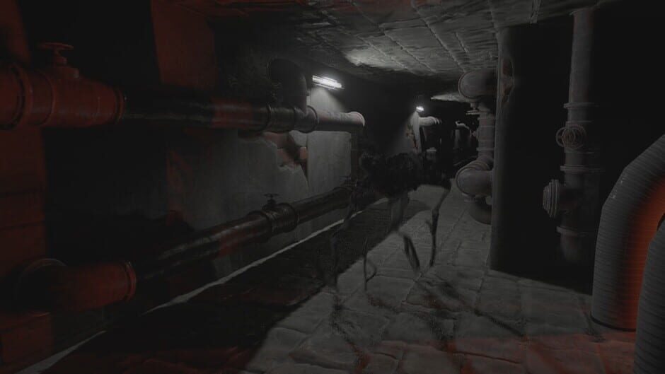 Capture de Lost Hope: Backrooms