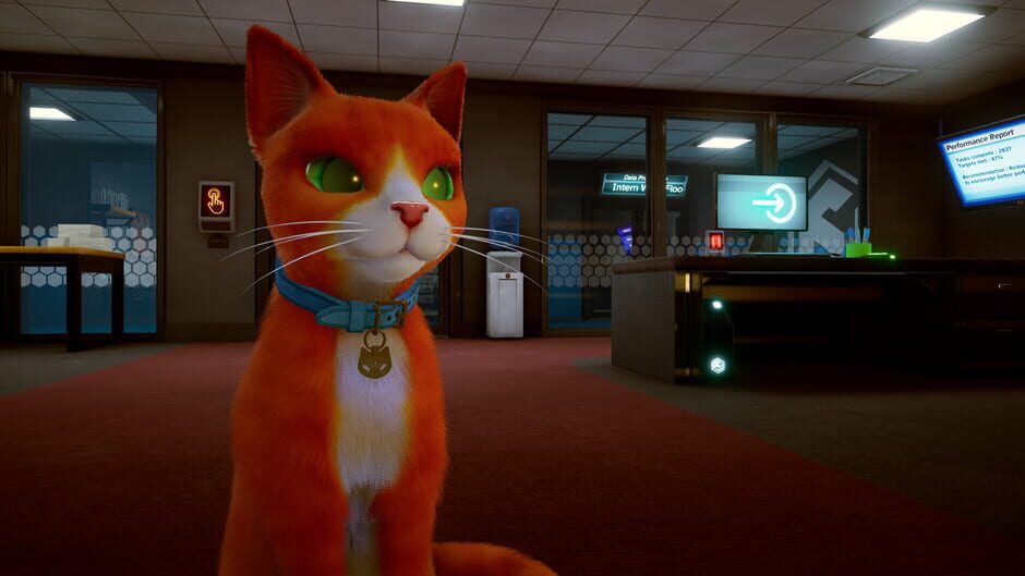 Capture de Schrodinger's Cat Burglar