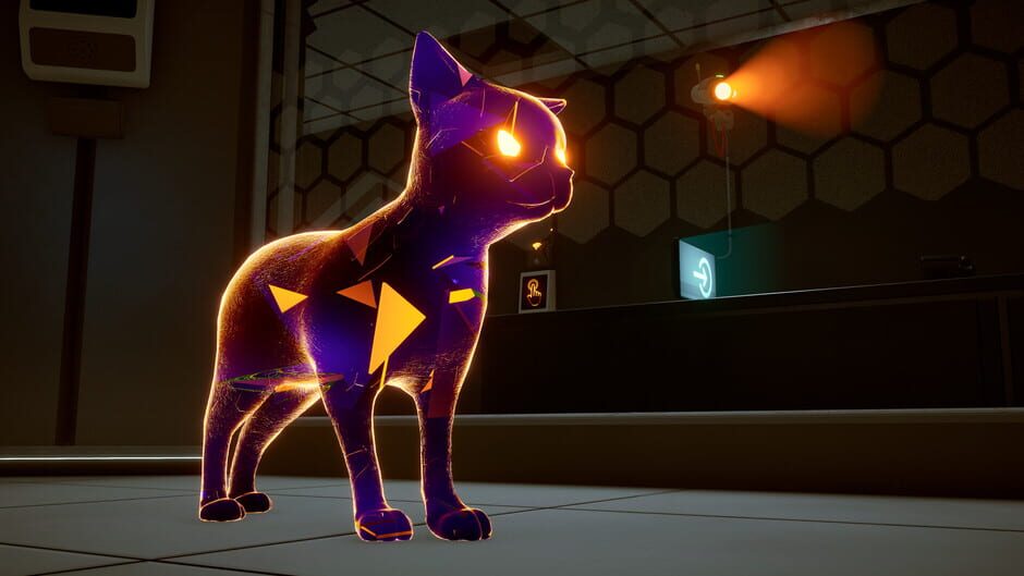 Capture de Schrodinger's Cat Burglar
