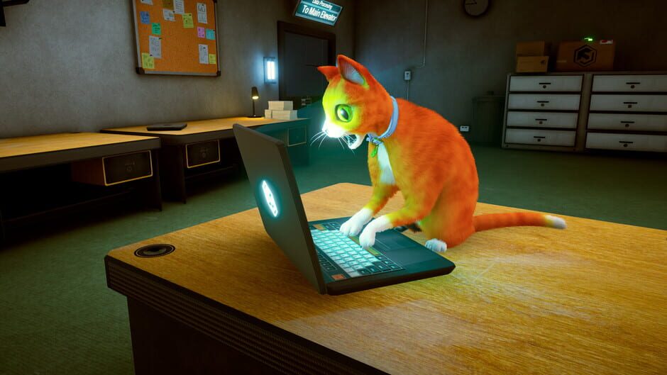 Capture de Schrodinger's Cat Burglar