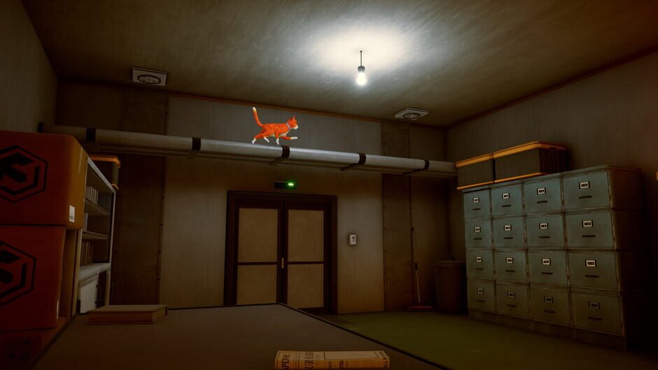 Capture de Schrodinger's Cat Burglar