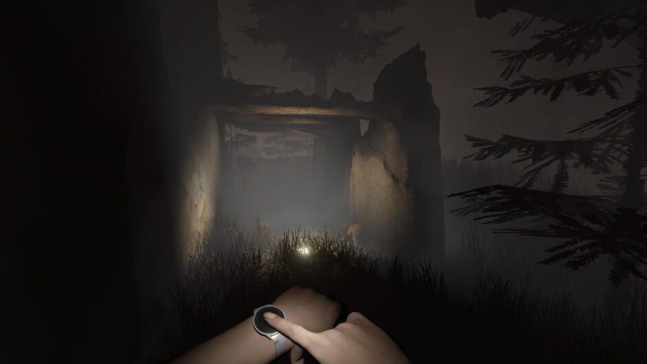 Capture de Sylvio: Black Waters