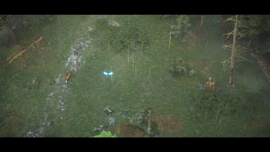 Capture de Spirit of the North 2
