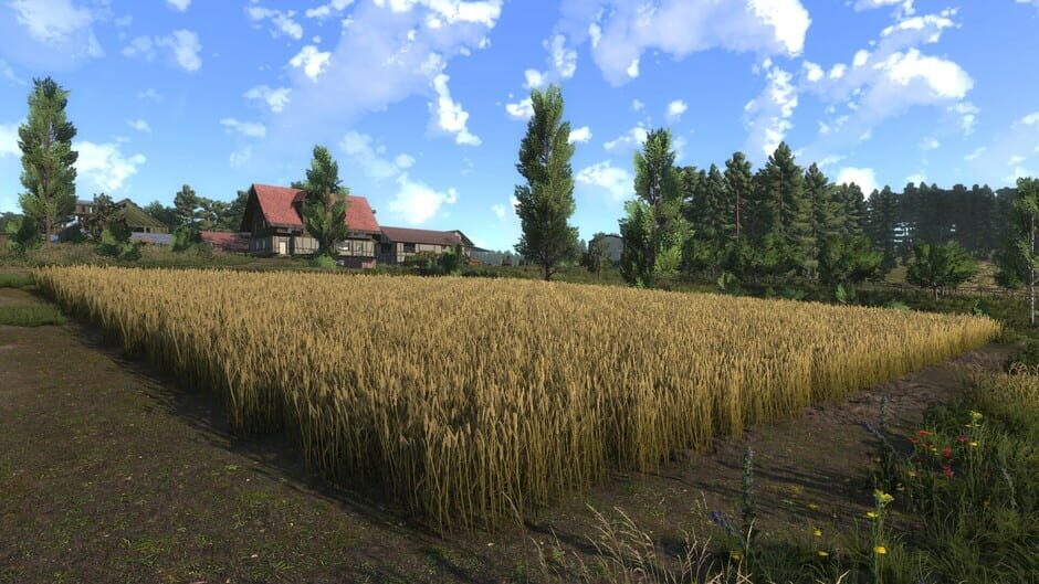 Capture de Farmer's Dynasty 2