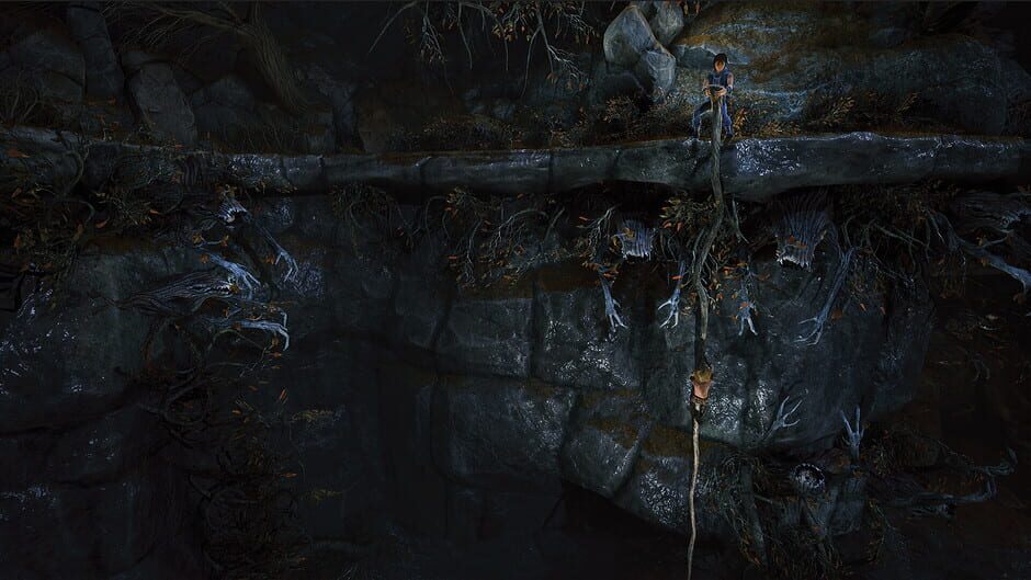 Capture de Brothers: A Tale of Two Sons Remake
