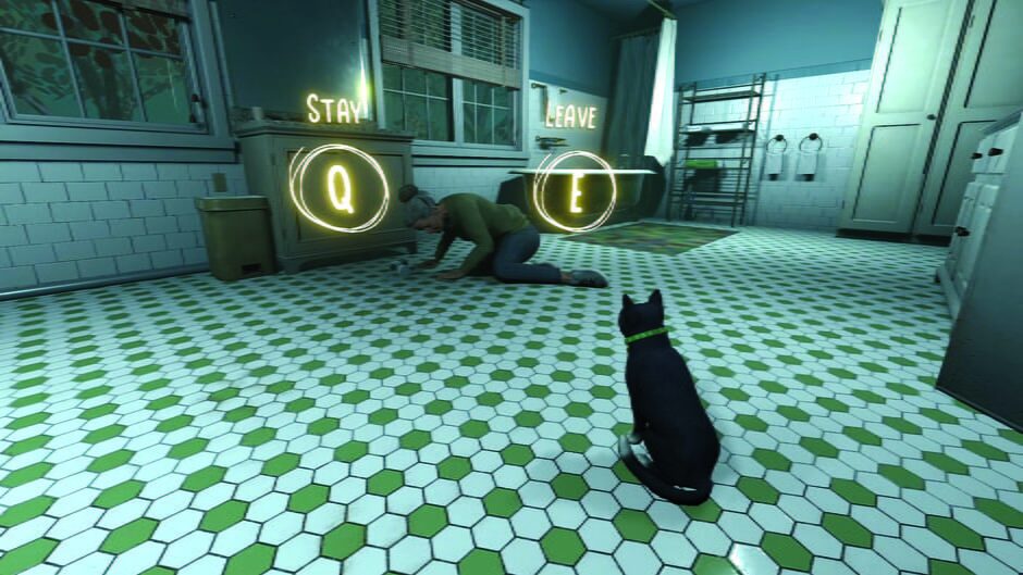 Capture de Copycat