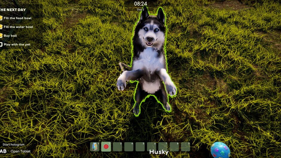 Capture d’Animal Shelter 2