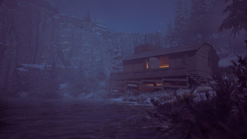 Capture de Winter Survival