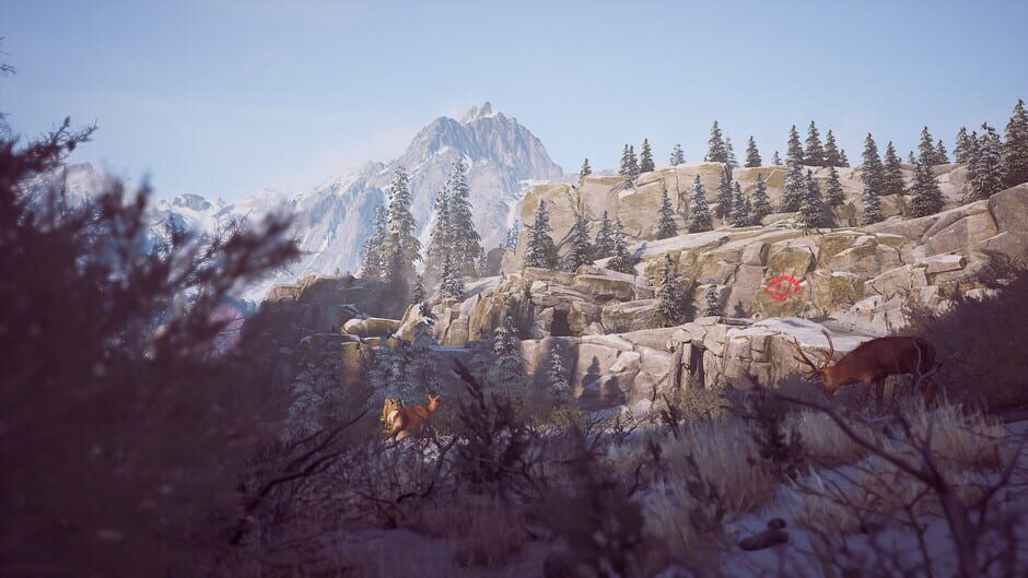 Capture de Winter Survival