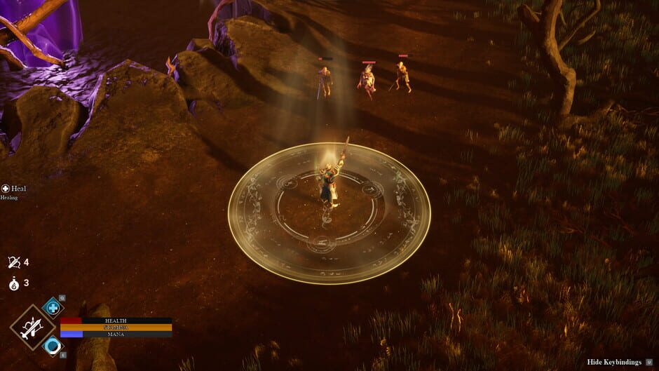 Capture de Frontier Paladin