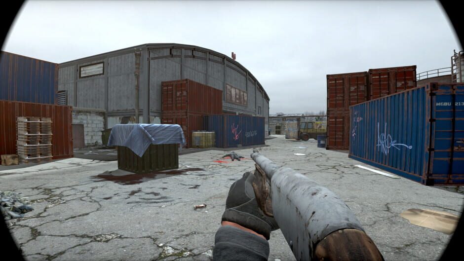 Capture de ZombieCam