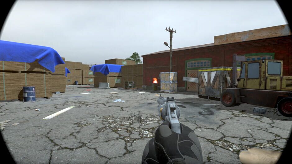 Capture de ZombieCam