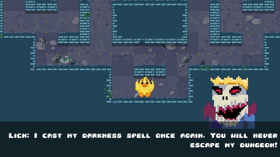 Capture de Dungeons and Ducklings