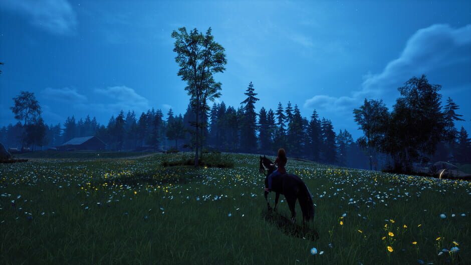 Capture de Windstorm: Start of a Great Friendship - Remastered