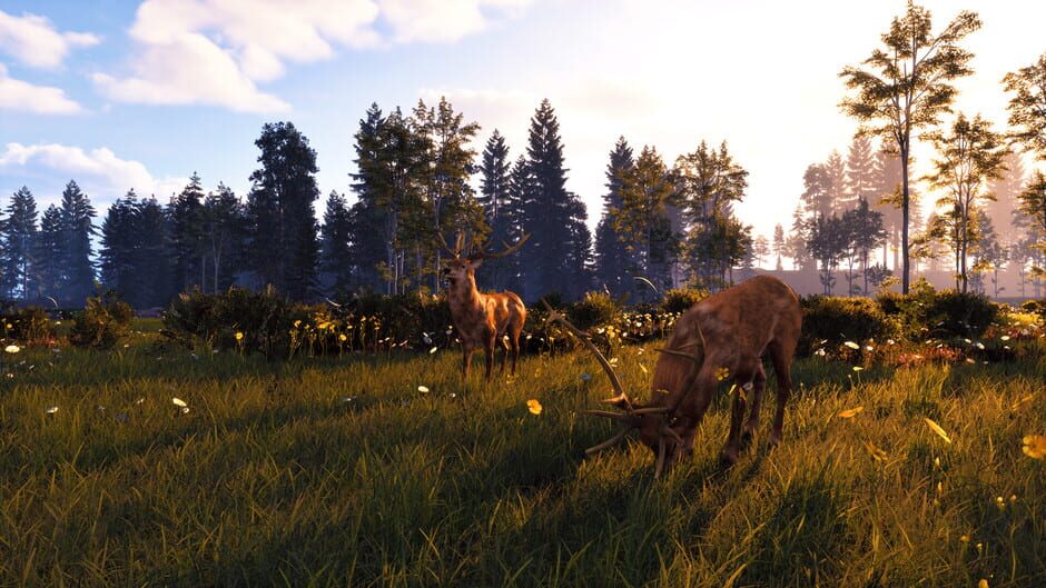 Capture de Windstorm: Start of a Great Friendship - Remastered