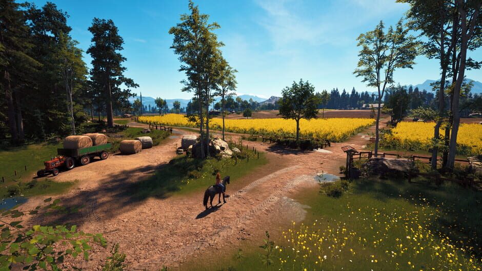 Capture de Windstorm: Start of a Great Friendship - Remastered