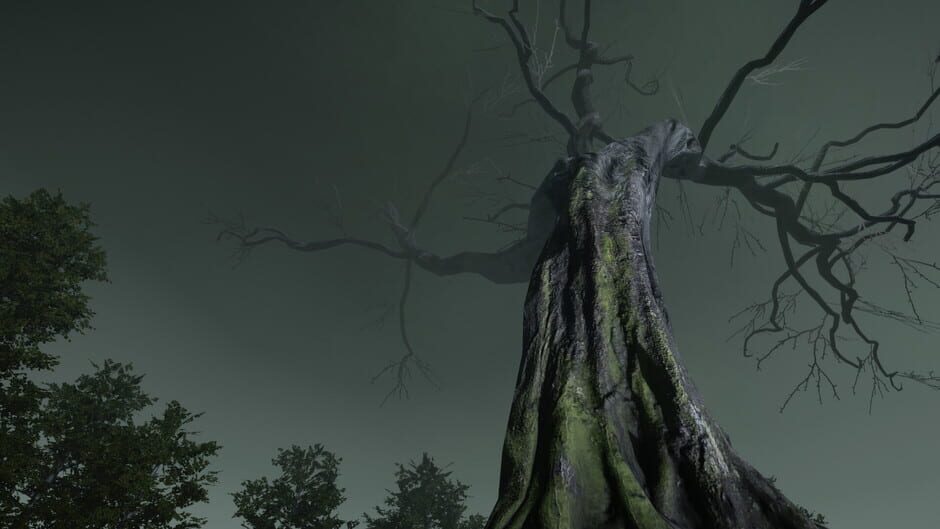 Capture de The Witch's Redemption