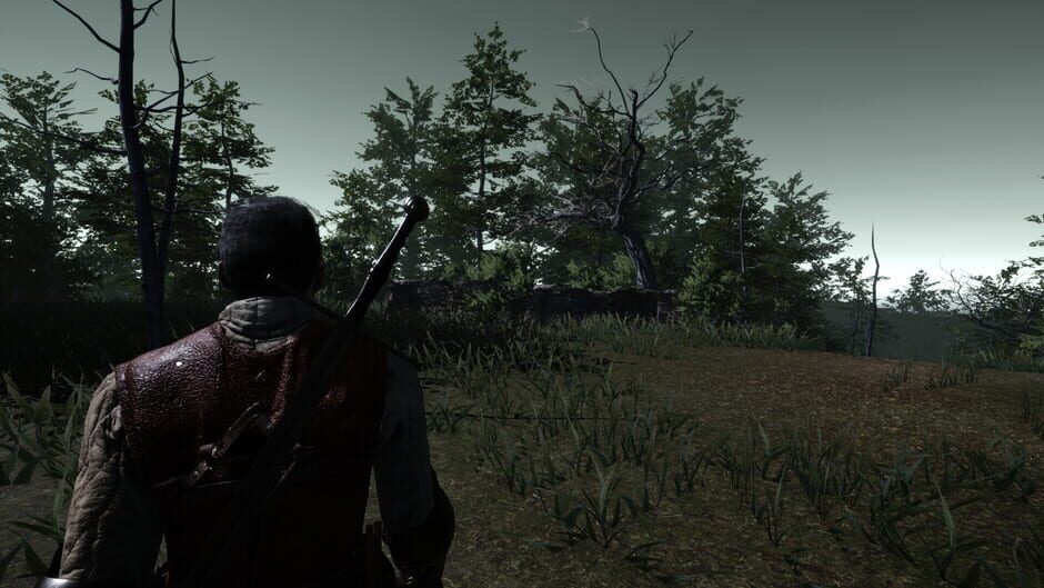 Capture de The Witch's Redemption