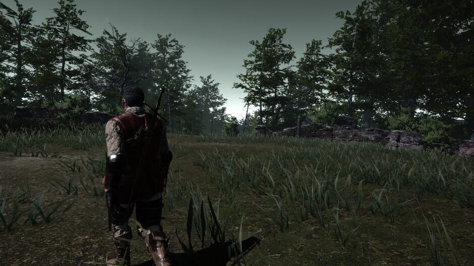 Capture de The Witch's Redemption