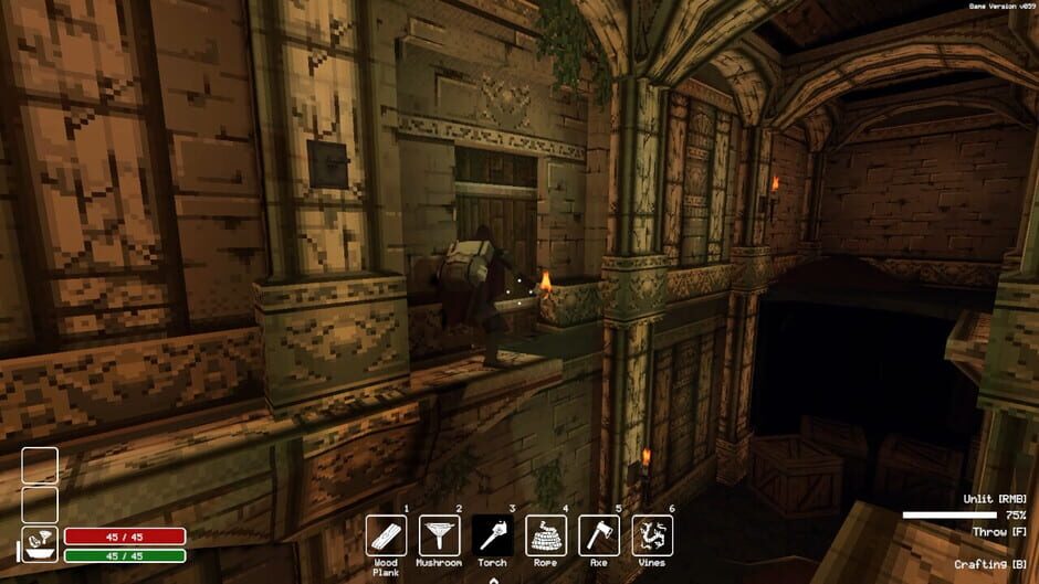 Capture de Deep Dish Dungeon