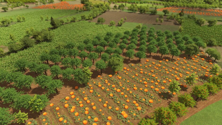 Capture de Global Farmer
